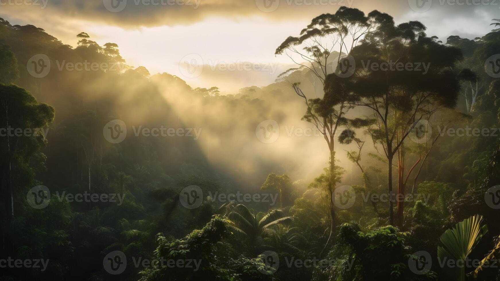 ai généré spectaculaire vue sur le forêt tropicale dans le lever du soleil, neural réseau généré photoréaliste image photo