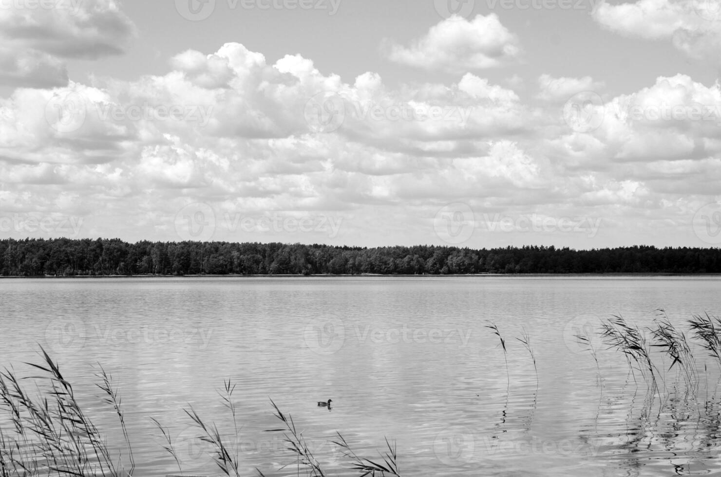 noir et blanc magnifique ciel Contexte photo