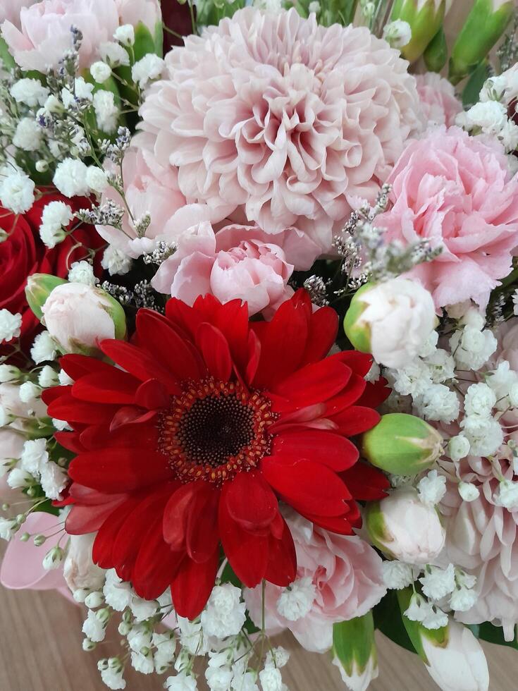 photo de rouge et rose des roses. parfait pour les magazines, tabloïds et journaux