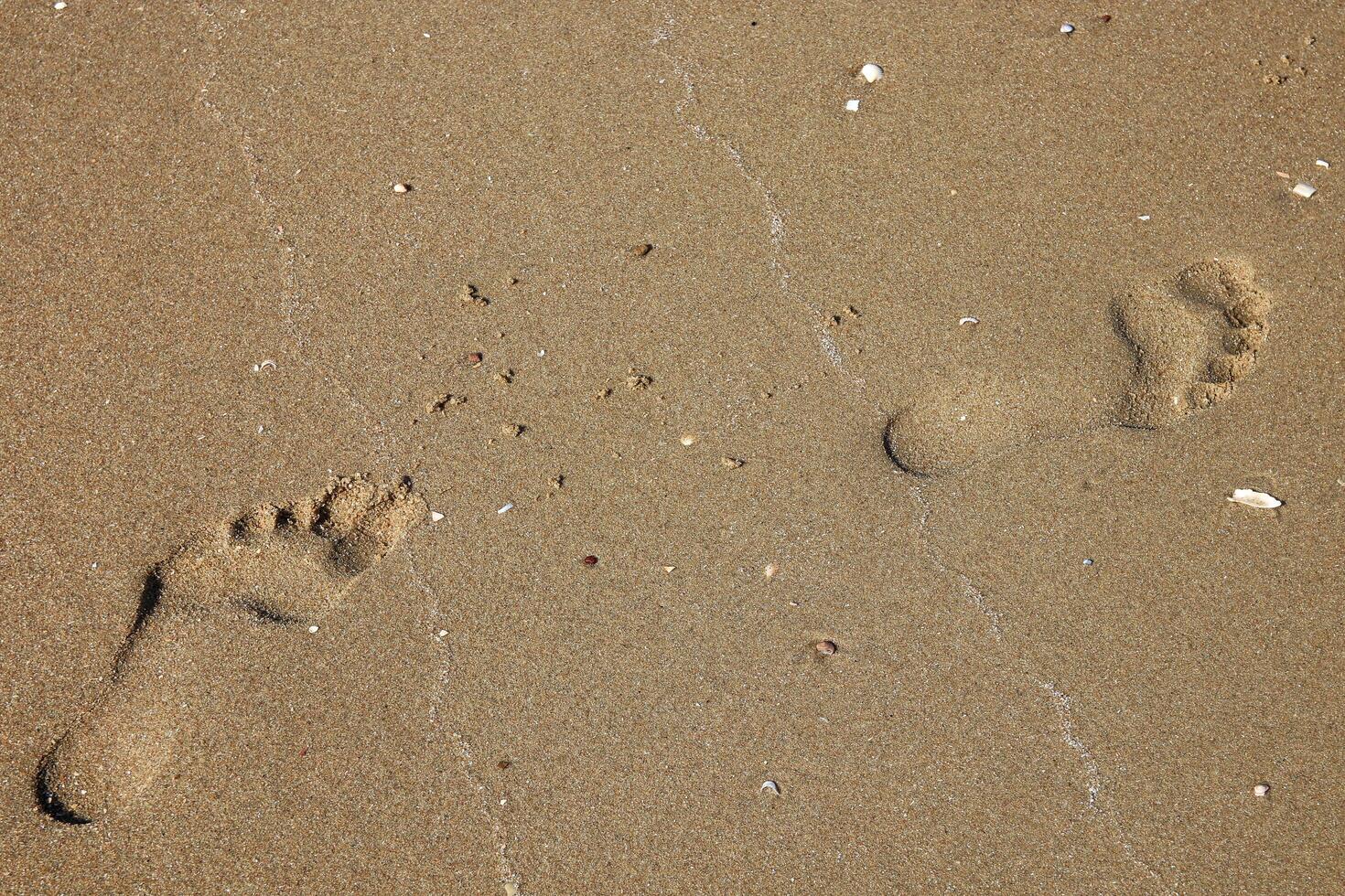 la gauche et droite empreintes en marchant dans le le sable sur le plage photo