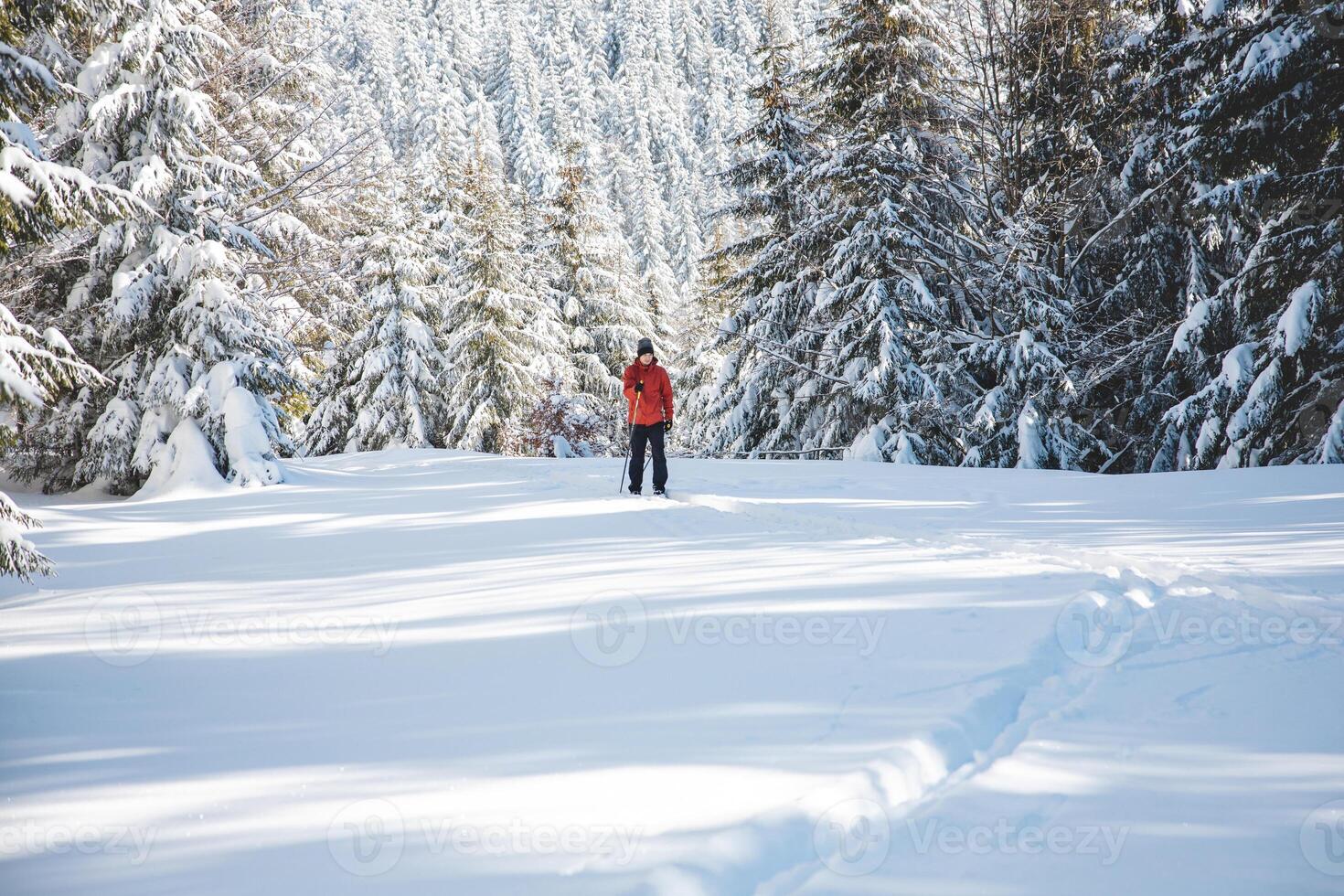 Jeune adulte cross-country skieur vieilli 20-25 fabrication le sien posséder Piste dans Profond neige dans le région sauvage pendant Matin ensoleillé temps dans beskyde montagnes, tchèque république photo