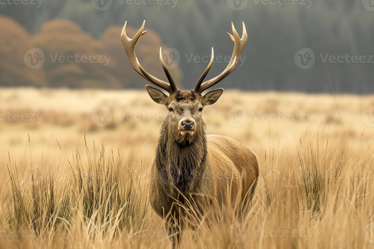 ai généré majestueux cerf permanent au milieu de grand, sauvage herbes ai généré photo