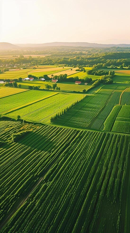 ai généré aérien vue campagne avec émeraude vert des champs nuageux ciel mettant en valeur le beauté de rural architecture. ai généré photo