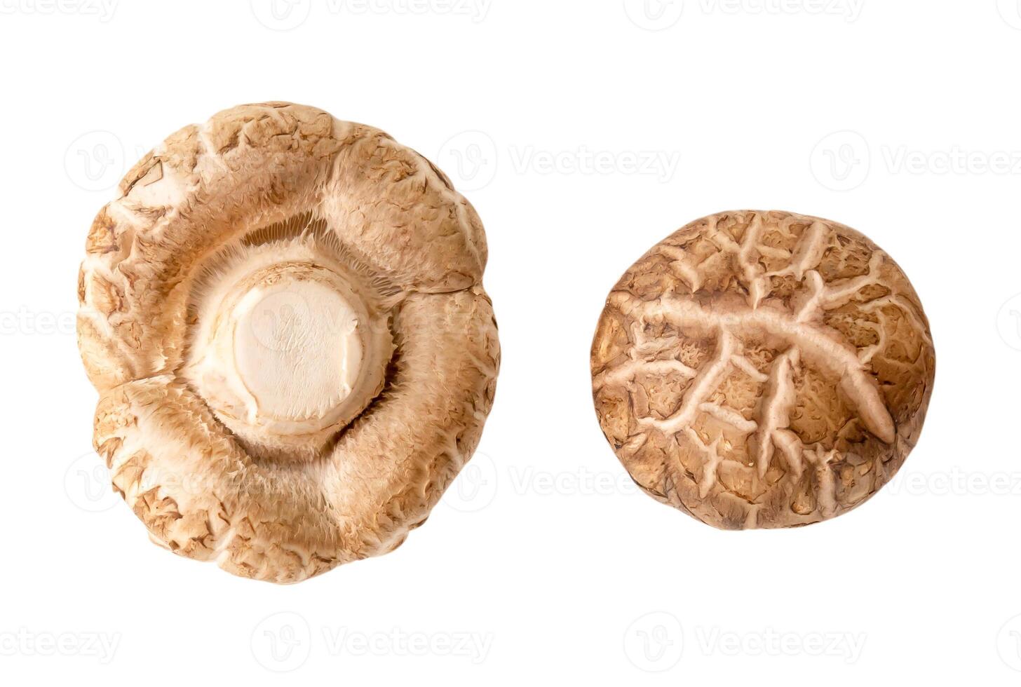 Haut vue de Frais et sec shiitake champignon dans ensemble isolé sur blanc Contexte avec coupure chemin photo