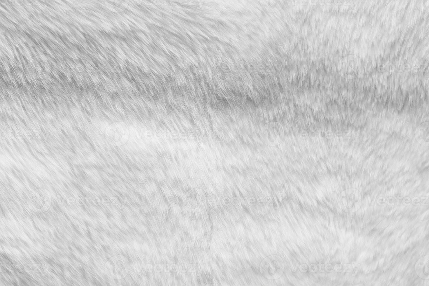 fond de texture de tissu de fourrure blanche photo