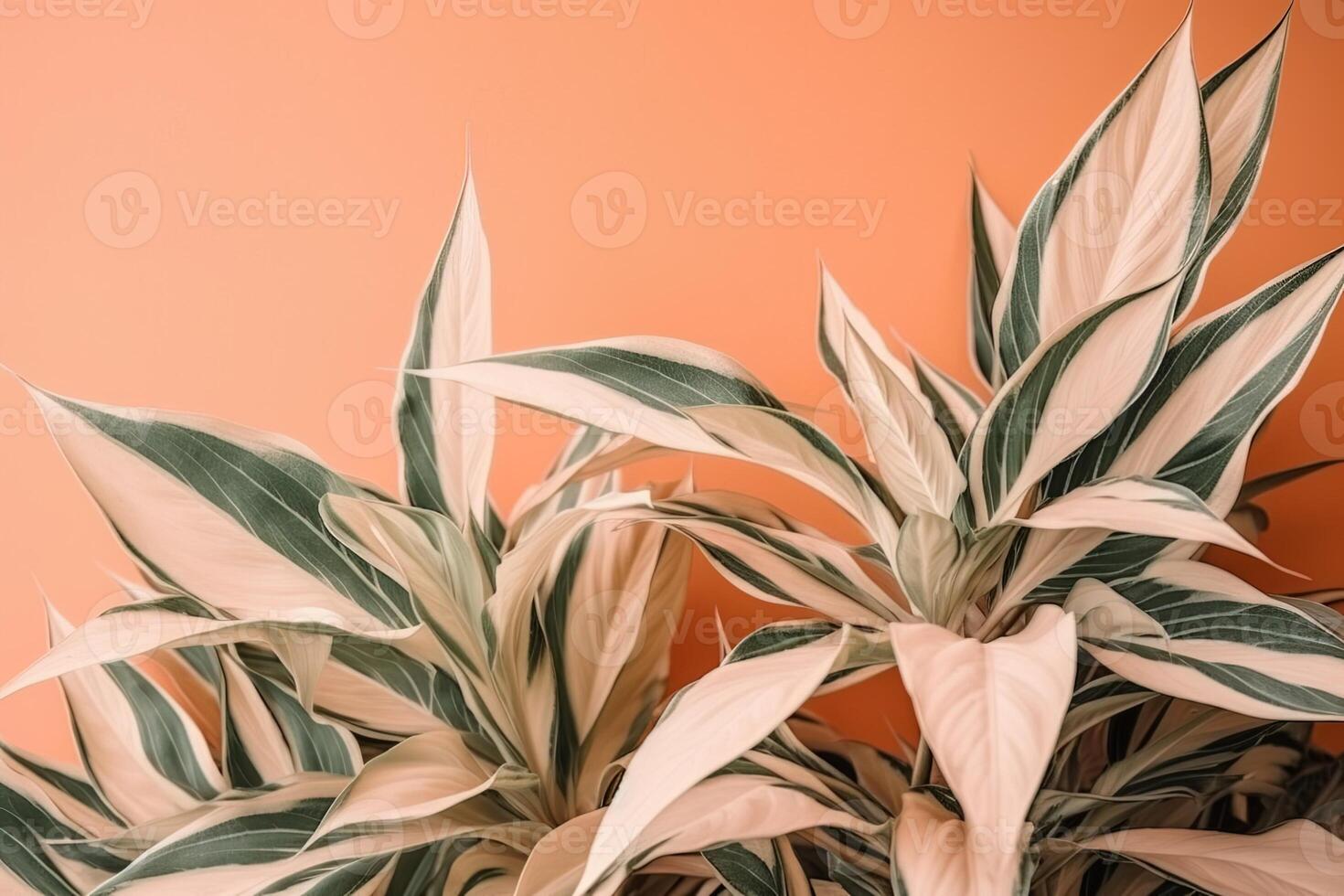 ai généré vert beige dracaena feuilles sur un vide pêche Couleur mur photo