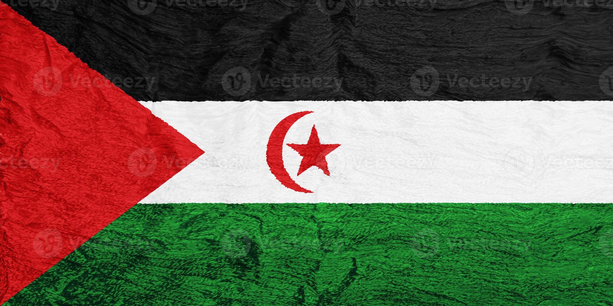 drapeau de occidental Sahara sur une texturé Contexte. concept collage. photo