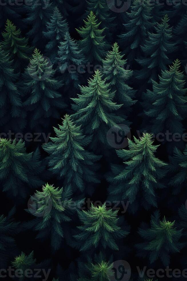 ai généré verticale image aérien vue paysage de une dense conifère forêt avec sapin des arbres photo