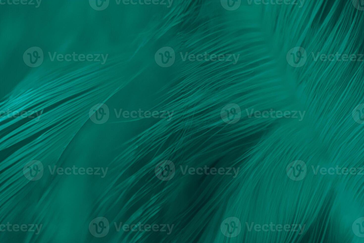 magnifique foncé vert turquoise ancien Couleur les tendances plume texture Contexte photo