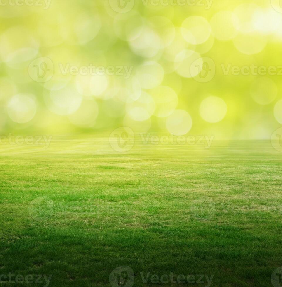 été champ Contexte photo