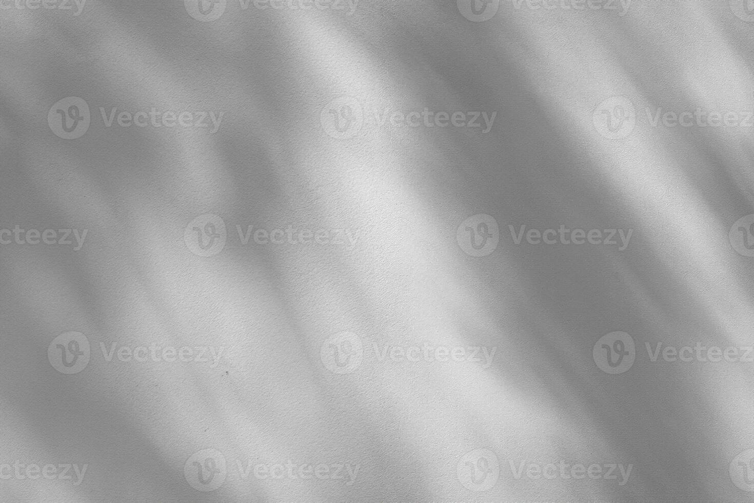 blanc ciment mur avec ombre de feuilles photo