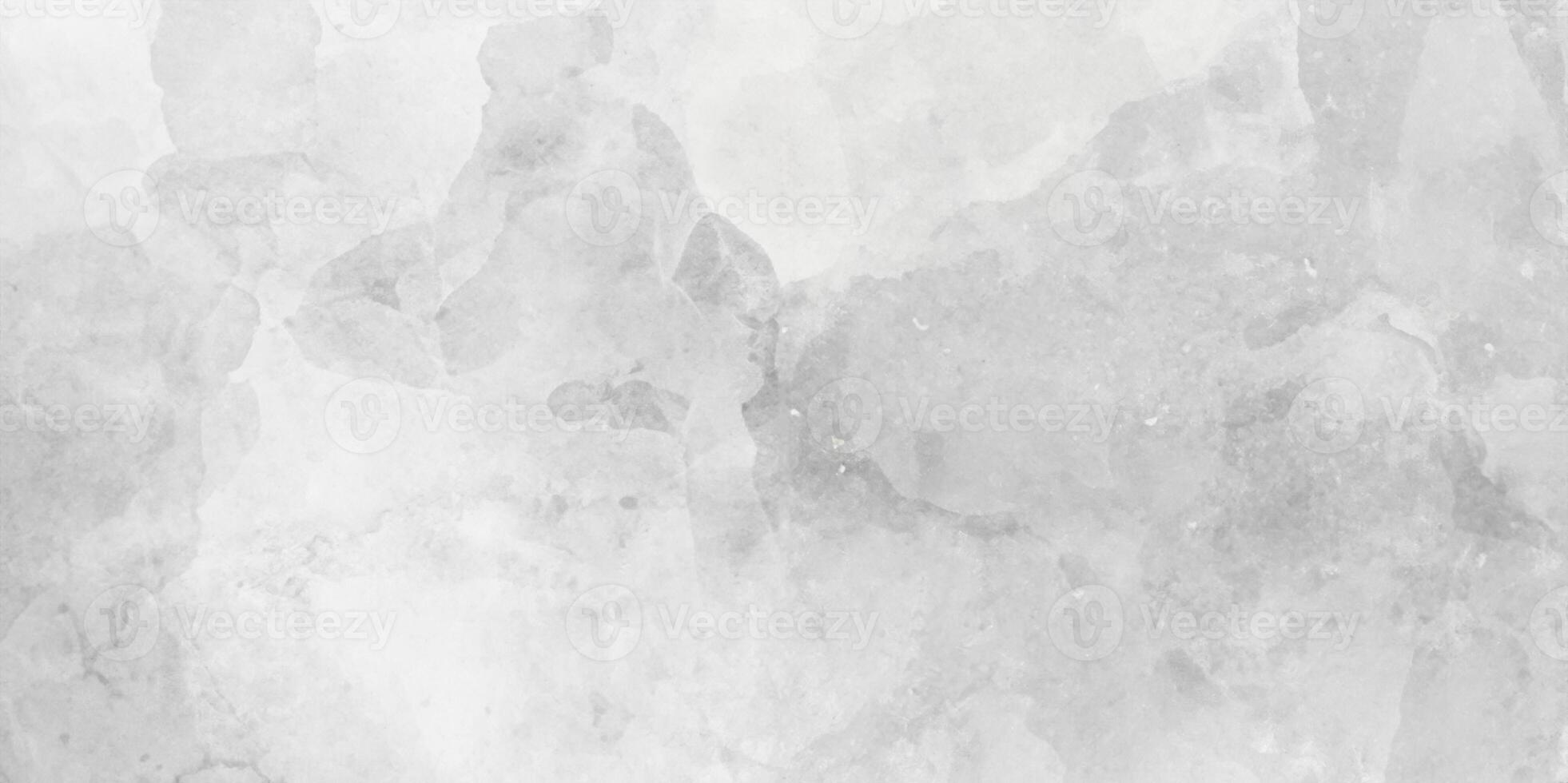 monochrome gris aquarelle peint papier texturé Toile pour conception, ancien carte, rétro modèle. noir et blanc encre effet l'eau Couleur illustration. photo