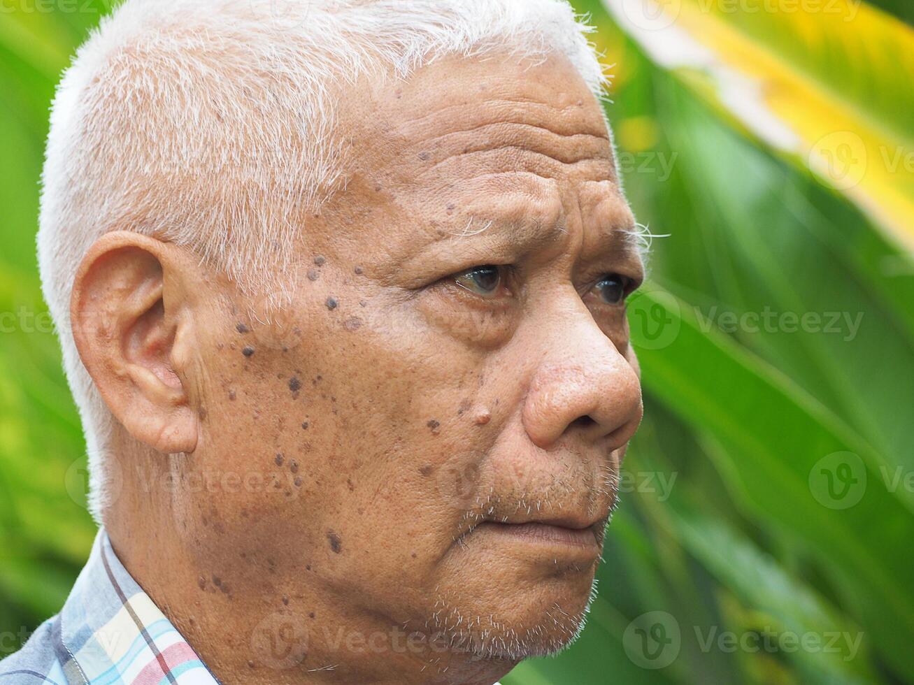 portrait de une Sénior asiatique homme à la recherche une façon tandis que permanent dans le jardin photo