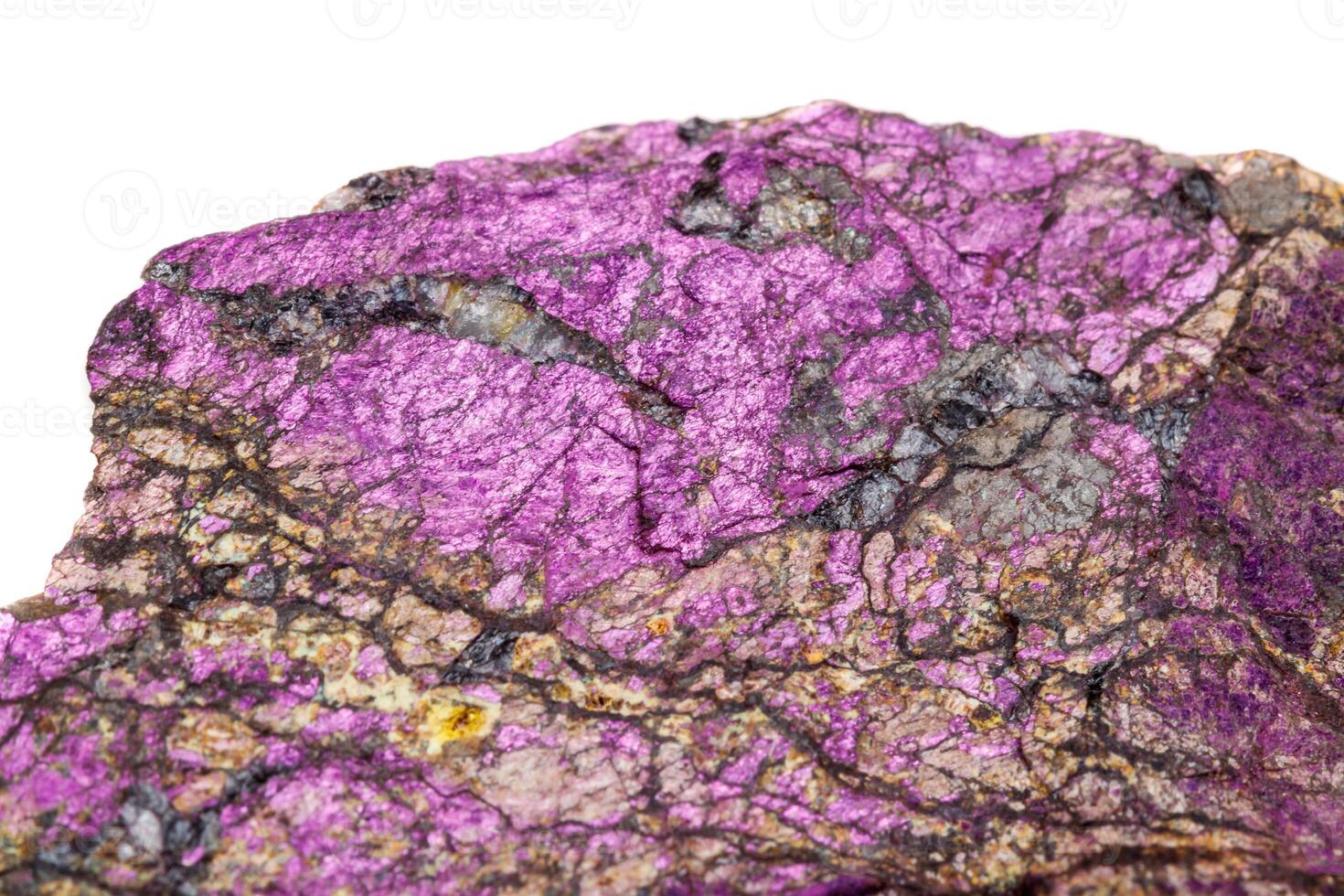 macro minéral pierre purpuré, violet purpurite dans le race une blanc Contexte photo