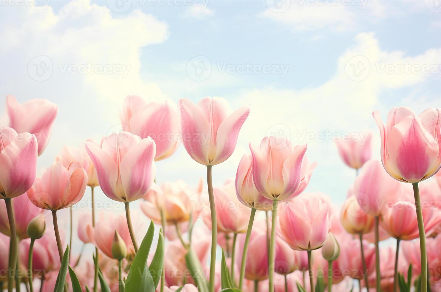 ai généré tulipes à aube. de la mère journée carte. carte postale pour Mars 8 photo