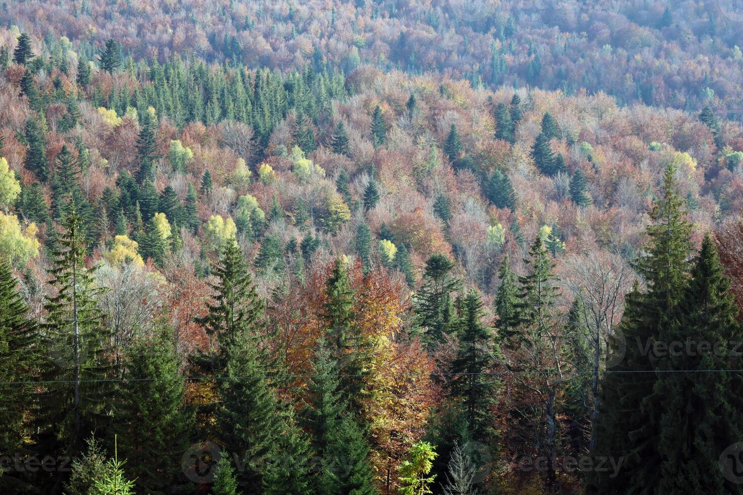 campagne dans montagnes à lever du soleil. herbeux rural pistes avec des champs et des arbres dans tomber feuillage dans l'automne photo