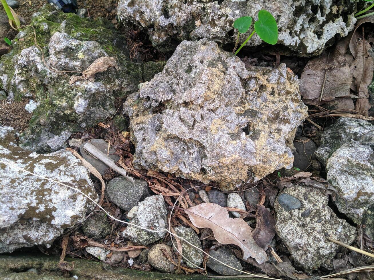 proche en haut vue de le étrange à motifs Contexte de Montagne rochers pris tandis que en voyageant dans Sulawesi, Indonésie photo