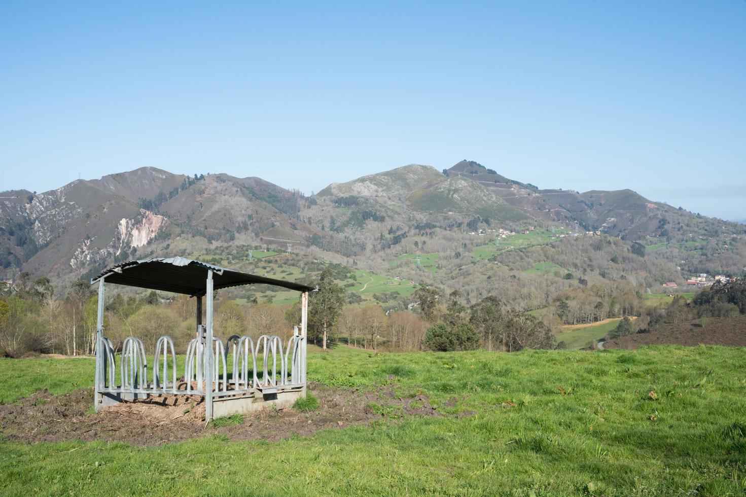 beau paysage verdoyant avec les montagnes en arrière-plan. lieu de restauration pour le bétail. photo