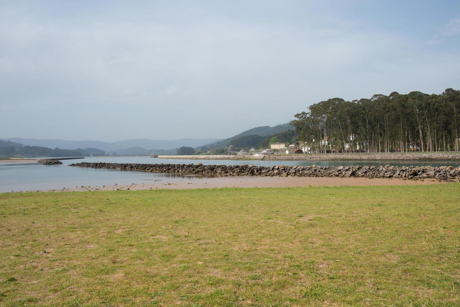 rodiles, zone humide protégée pour les oiseaux. rivière et plage, avec forêt d'eucalyptus en arrière-plan photo