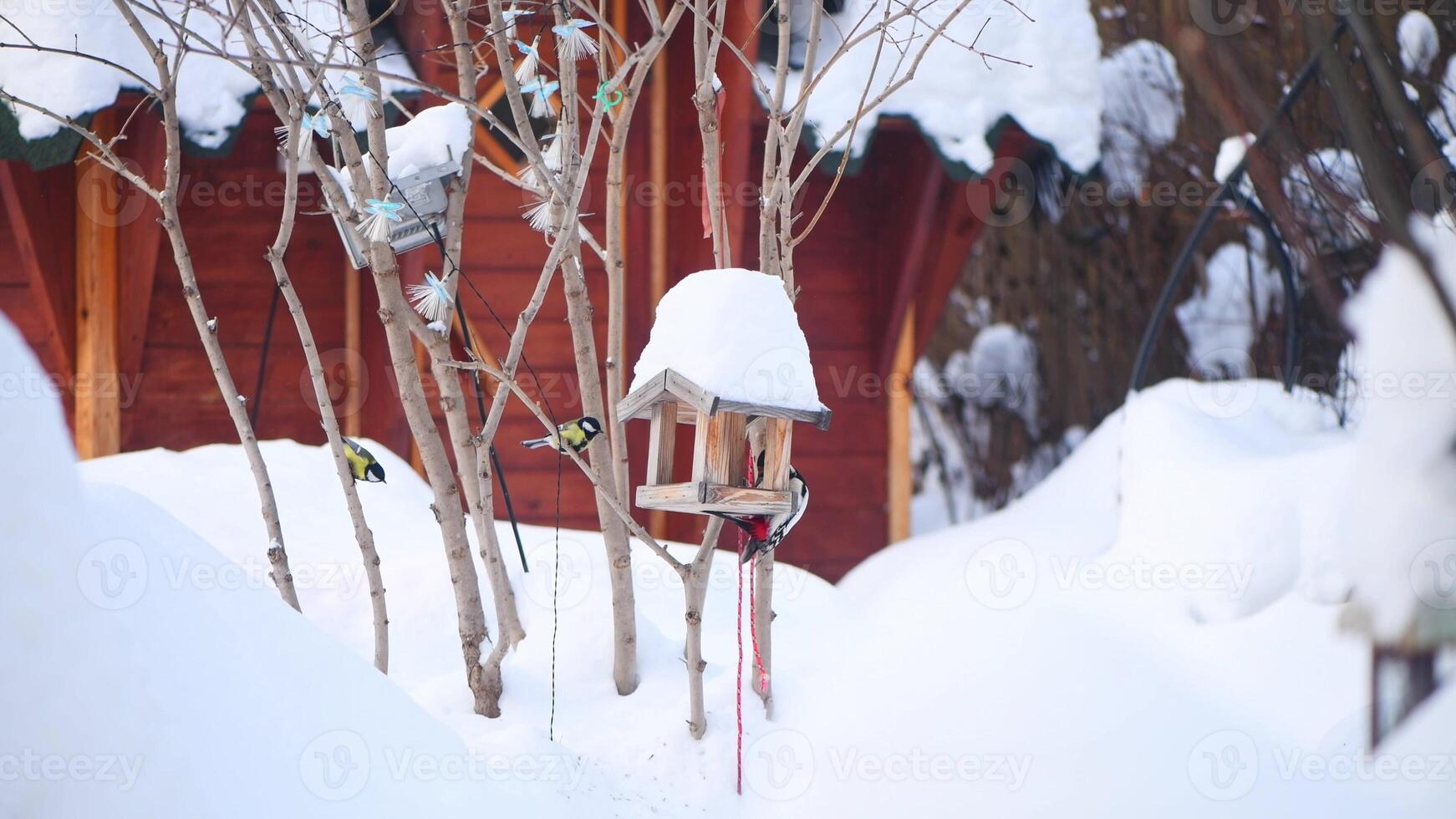 génial Pointé Pivert pendaison de oiseau mangeoire en forme de comme en bois maison avec pile de neige sur ses toit. photo