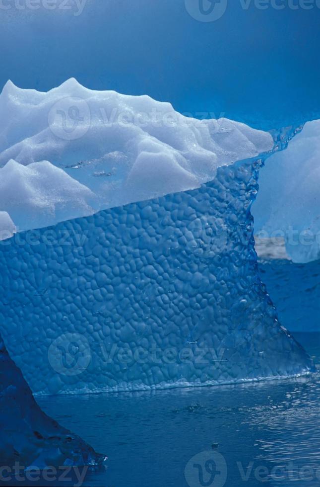 glace d'un bleu profond dans l'iceberg de tracy arm photo