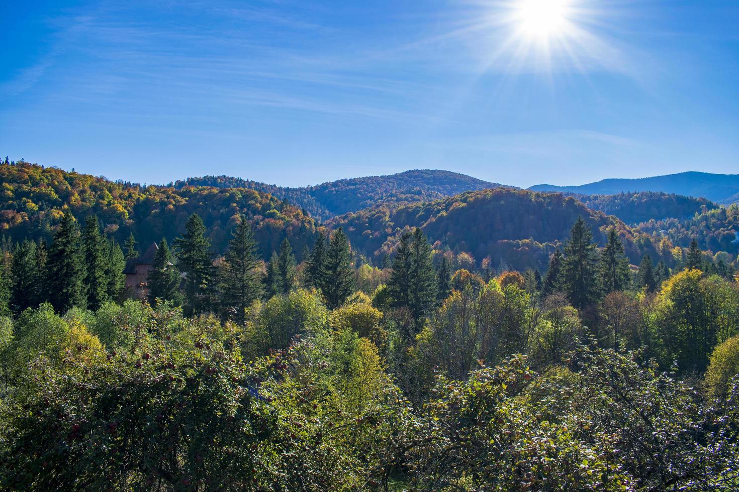collines des carpates, paysage diurne d'automne photo