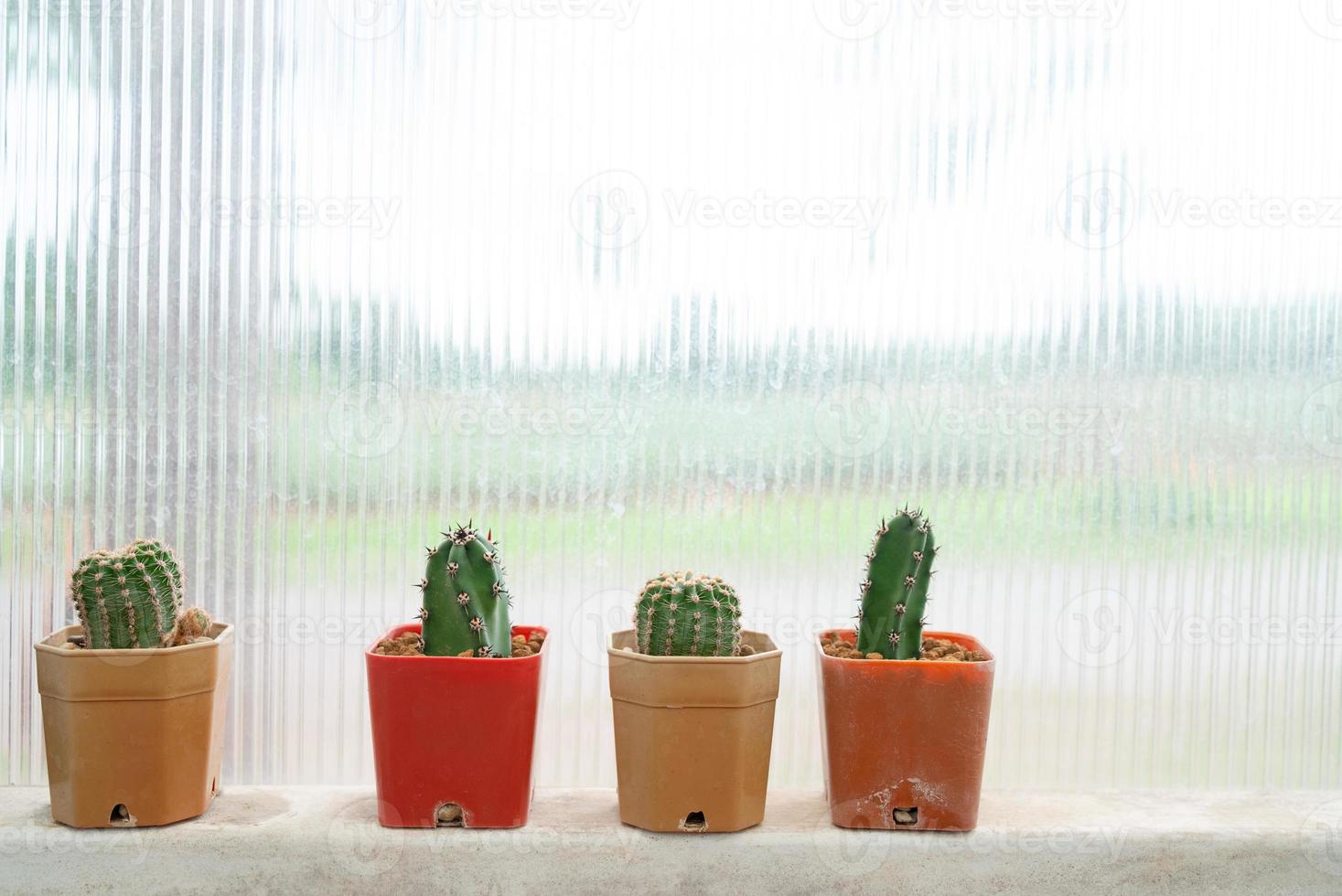 petits cacuts décoration par fenêtre à la maison photo