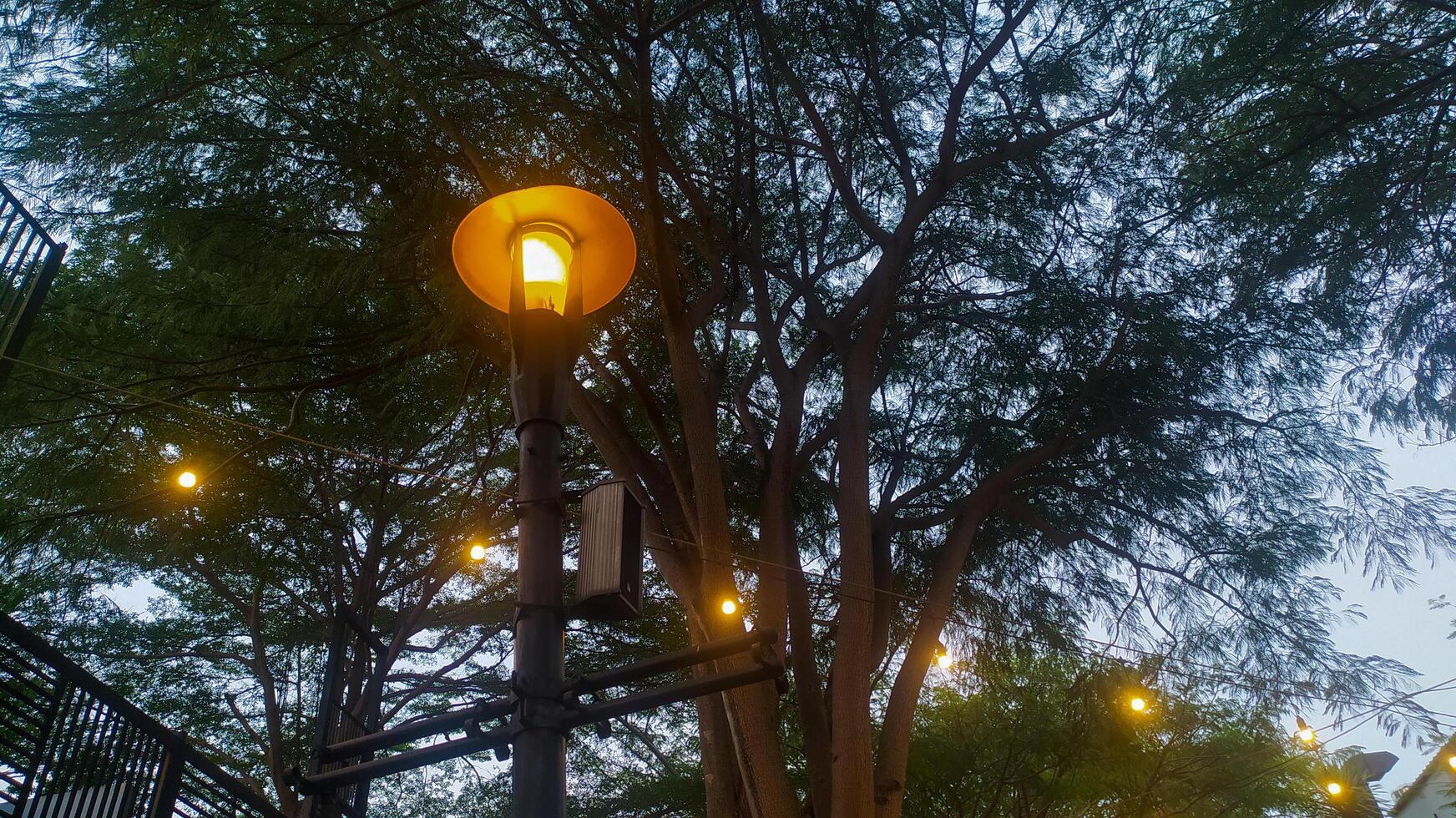 jardin vue avec nuit atmosphère et magnifique lumière intérieur photo