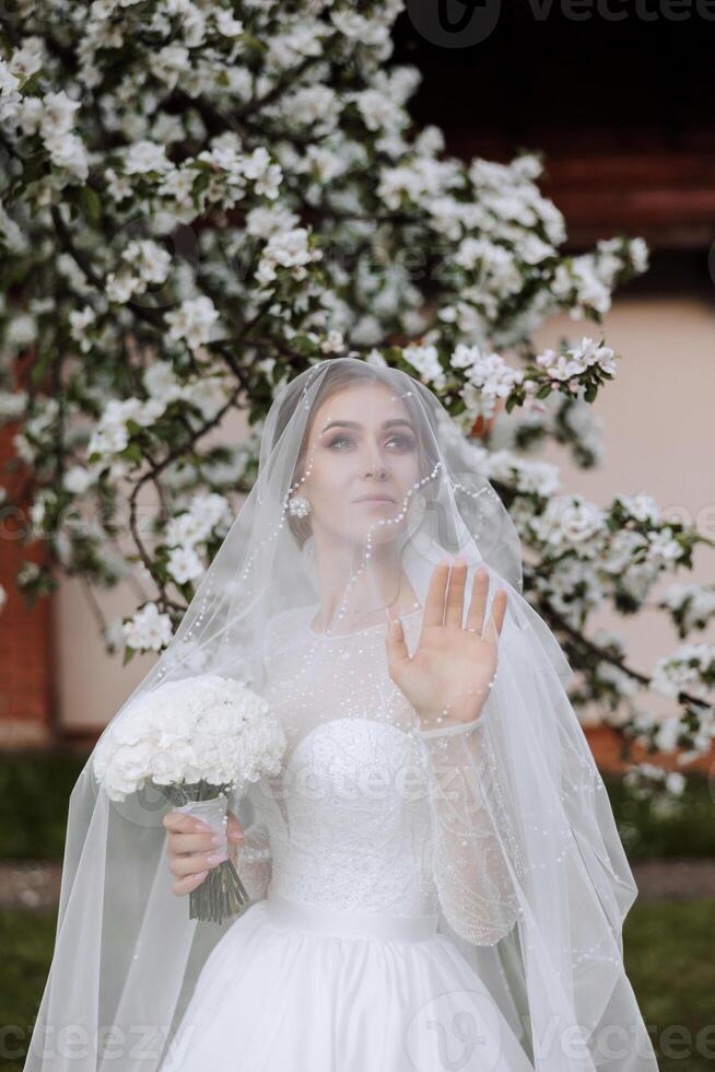 une roux la mariée pose contre le Contexte de une épanouissement arbre. magnifique robe avec longue manches, ouvert bousiller. printemps mariage photo