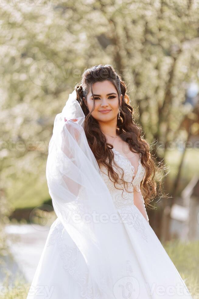 frisé brunette la mariée pose enveloppé dans une voile contre le Contexte de montagnes et en bois Maisons. magnifique robe avec longue manches, ouvert bousiller. été mariage photo