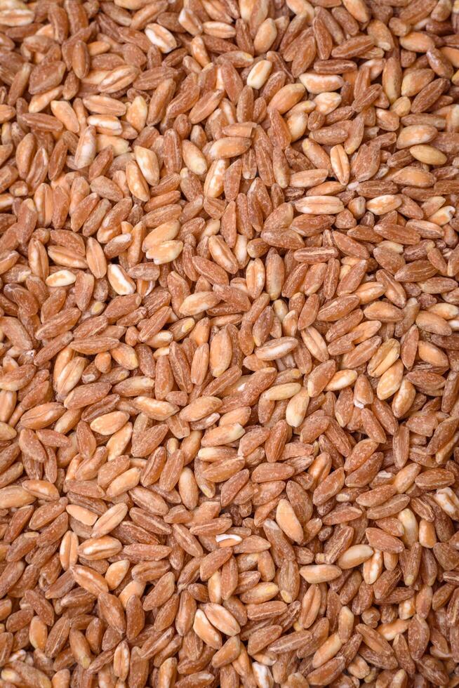 grand céréales de blé bouillie sont marron dans Couleur lorsque brut photo