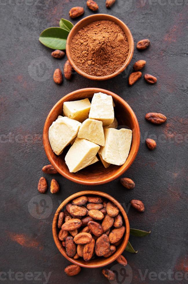 fèves de cacao, poudre et beurre de cacao photo