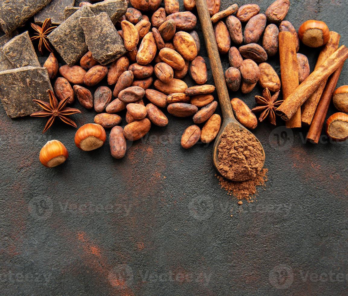 cacao en poudre et fèves photo