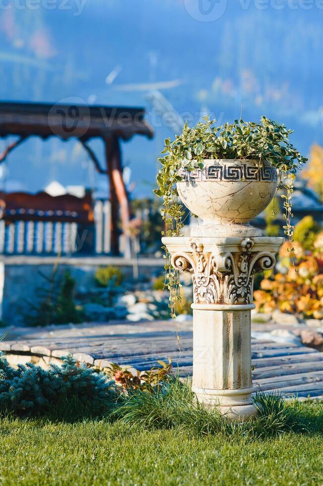 paysage conception jardin avec décoratif les plantes et jardin sculptures photo