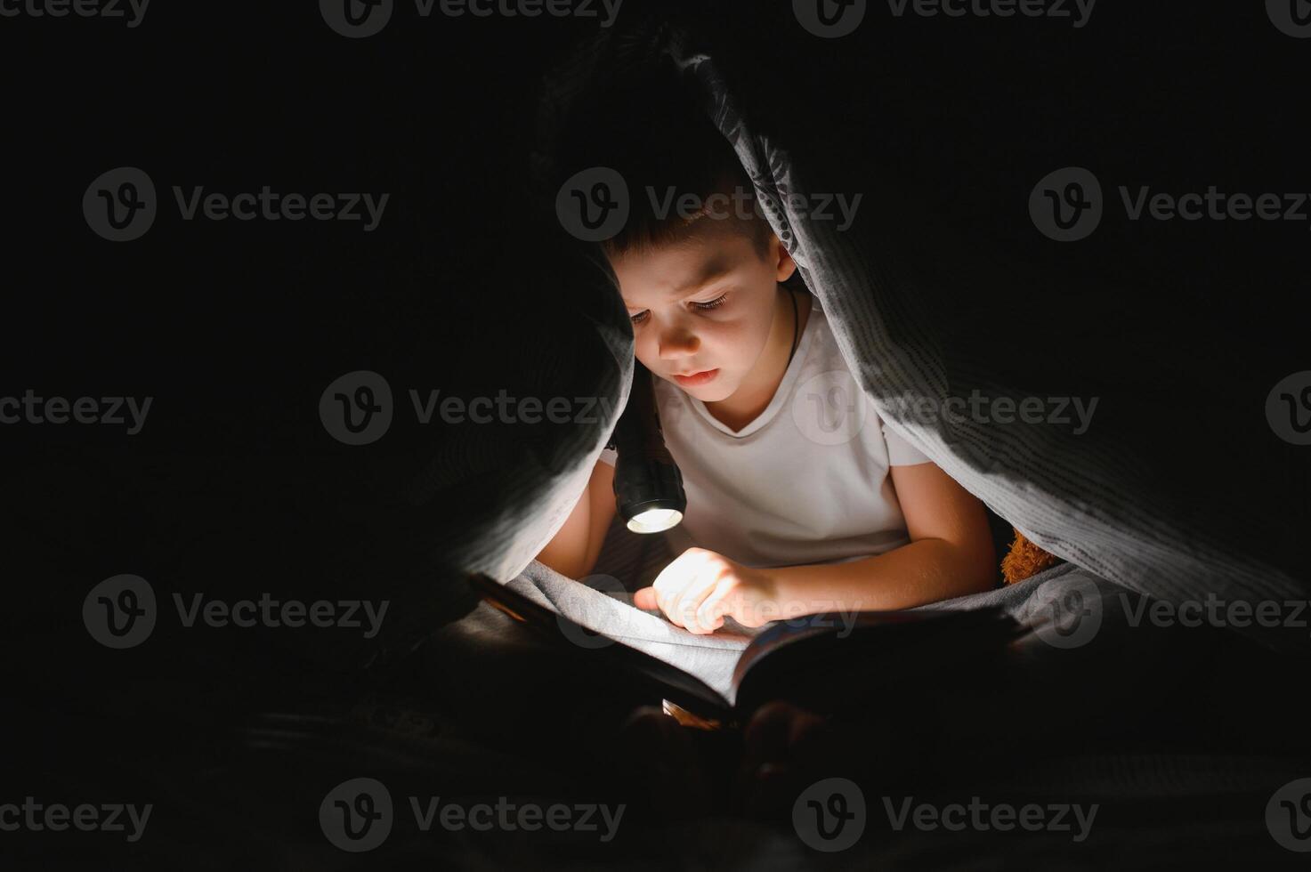 portrait de mignonne peu garçon en train de lire dans lit avec lampe de poche dans foncé chambre, profiter contes de fées. photo