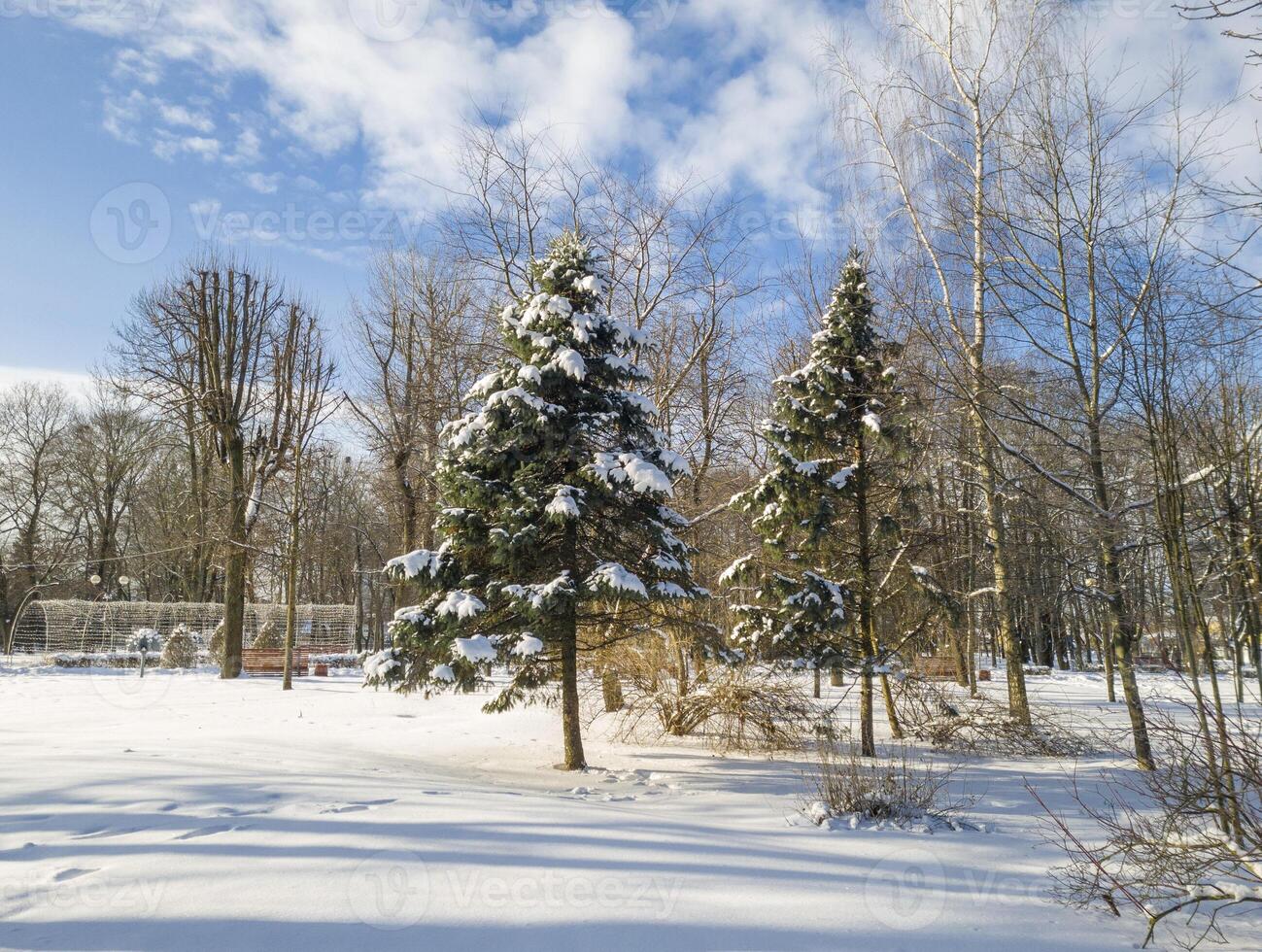 paysage coup de le hiver village. saison photo