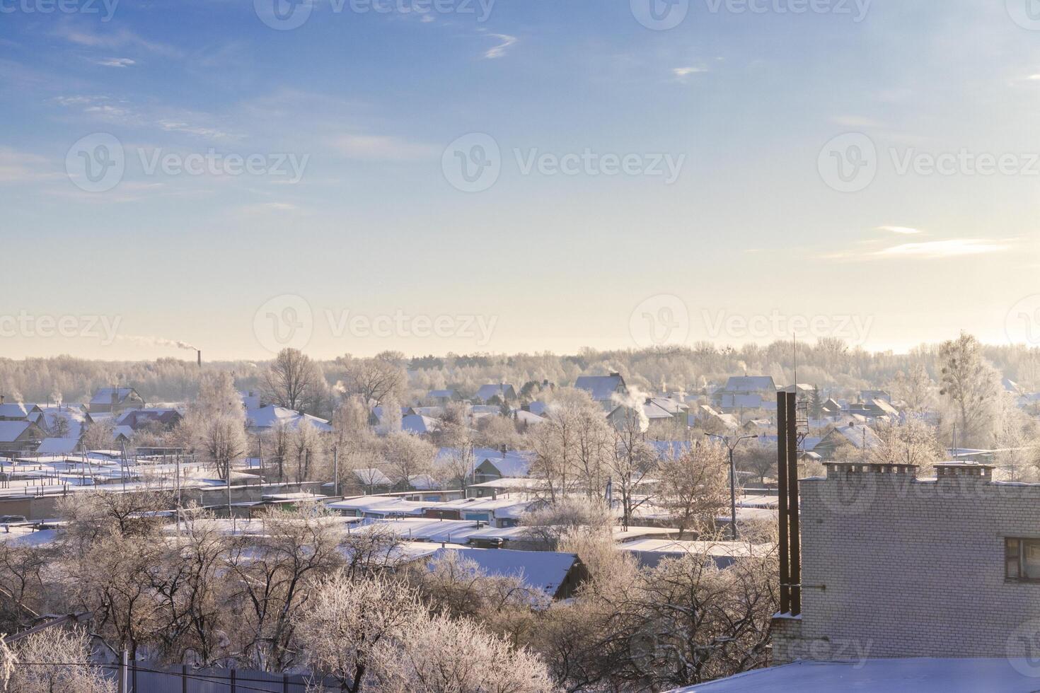 paysage coup de le hiver village. la nature photo