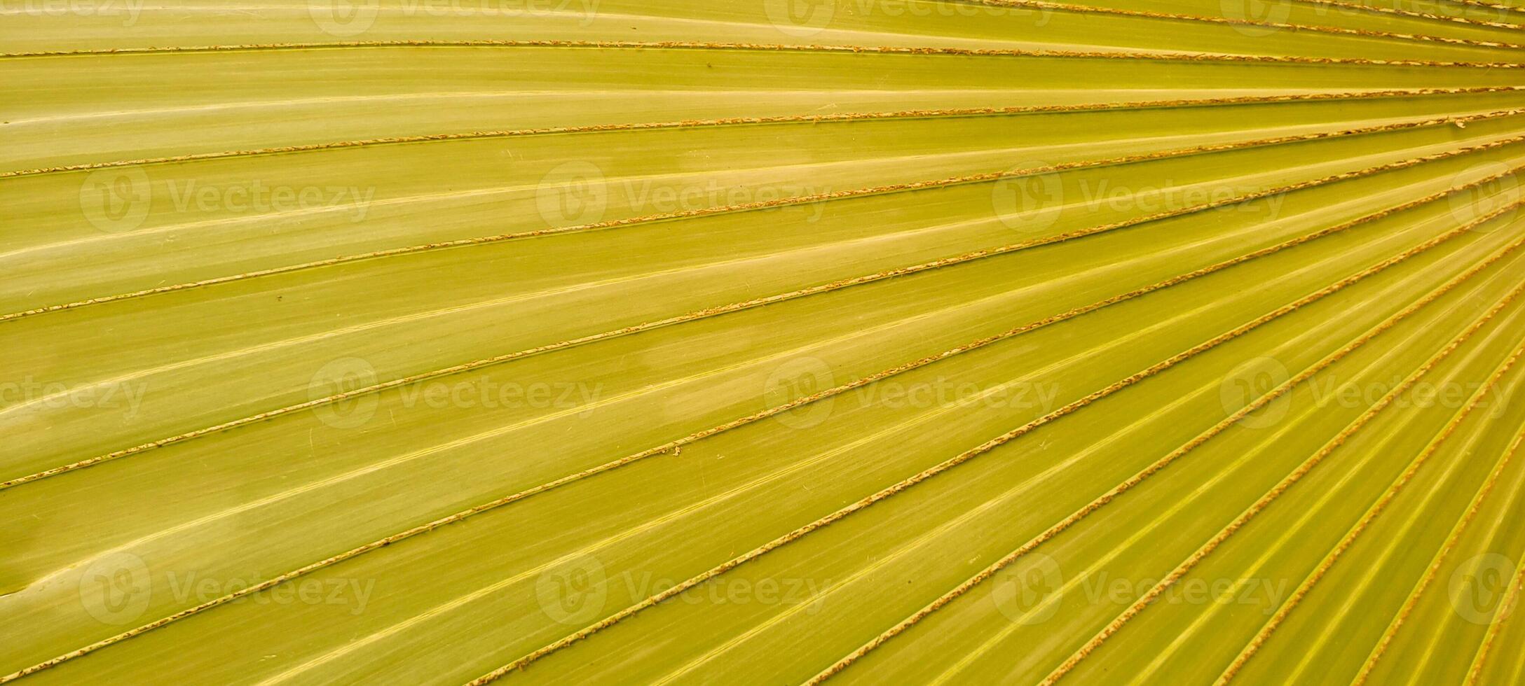 supporter en dehors avec le luminosité de texturé Jaune. une vibrant, moderne Contexte à élever votre projet. avoir il maintenant et éclat avec style photo