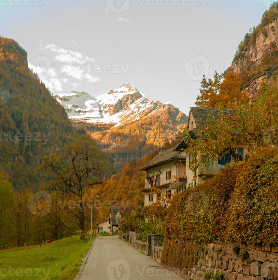 une route avec une maison sur il photo