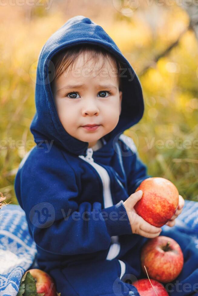 mode de vie peu enfant avec biologique saisonnier des fruits. marrant petit garçon avec pommes Extérieur. photo