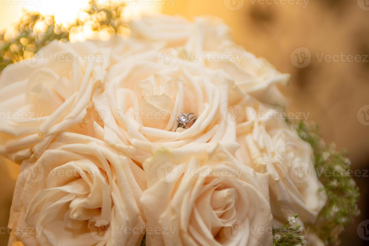 blanc des roses avec une bague photo