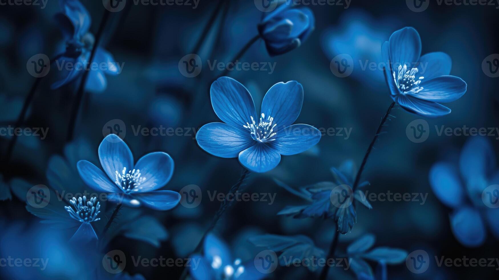 ai généré bleu fleurs dans le foncé avec une flou effet créer une mystérieux et enchanteur scène, ai généré. photo