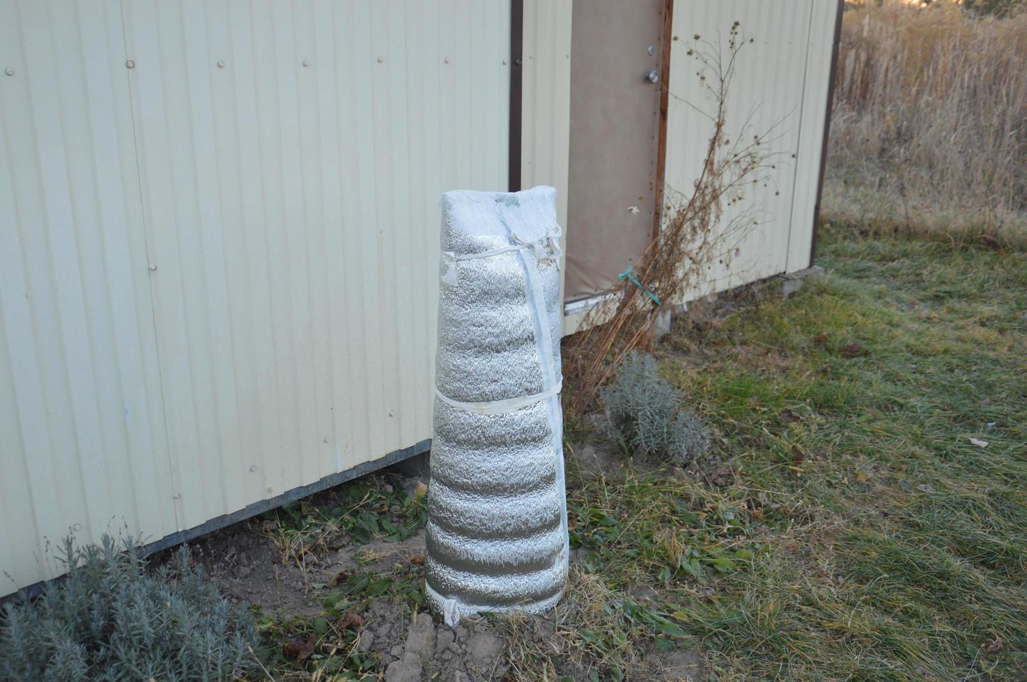 réchauffement des arbres et des plantes du jardin pour l'hiver photo