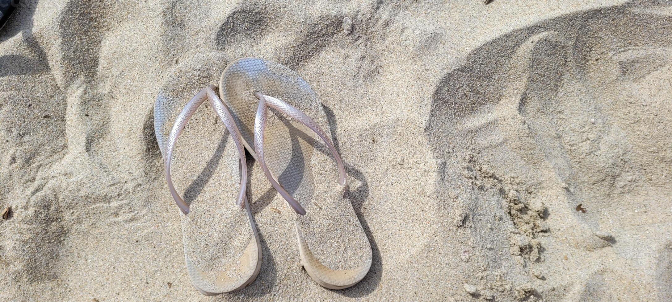 image de blanc le sable plage sur le côte de Brésil sur une ensoleillé photo