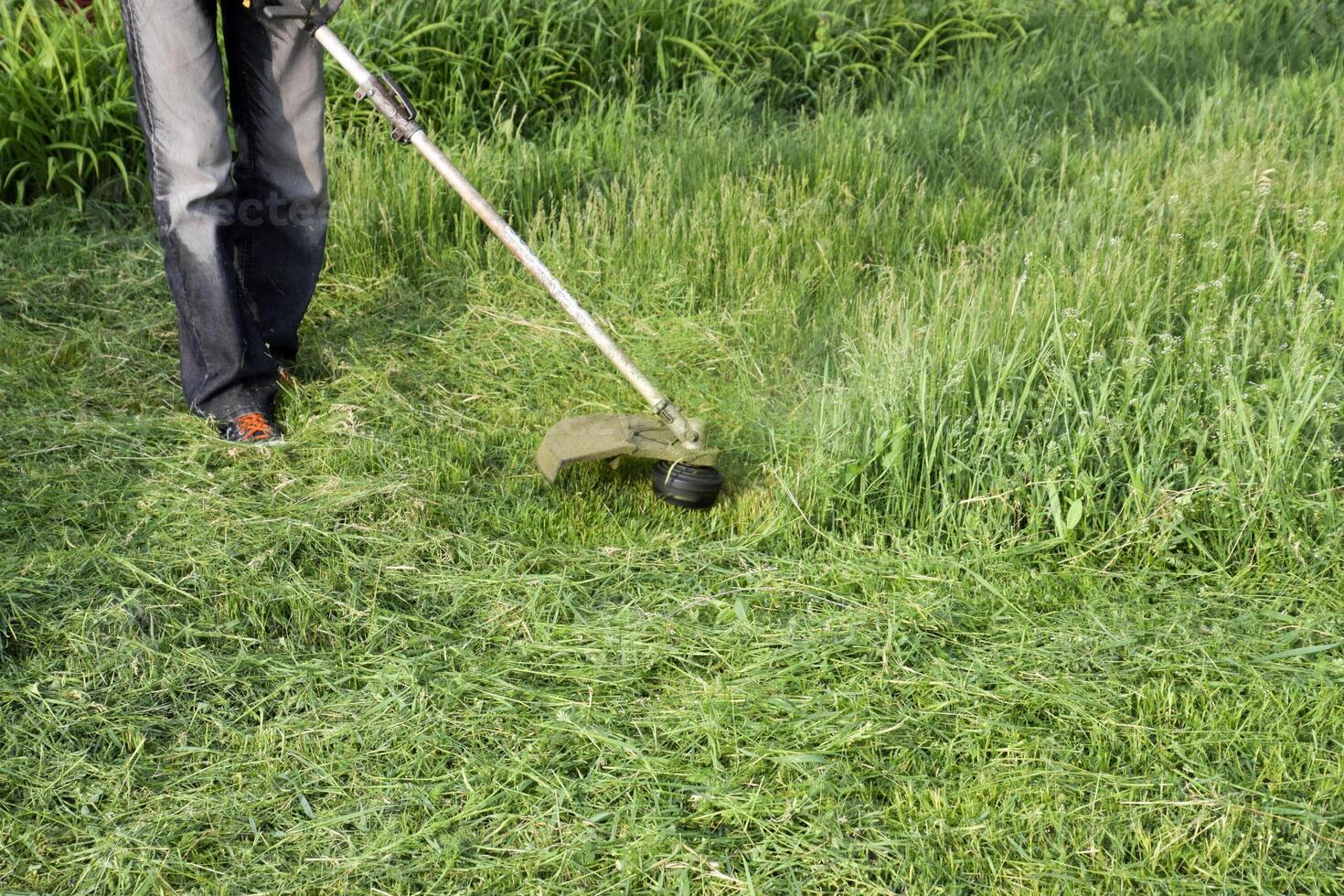 application tondeuses. fauchage vert herbe en utilisant une pêche ligne tondeuse photo