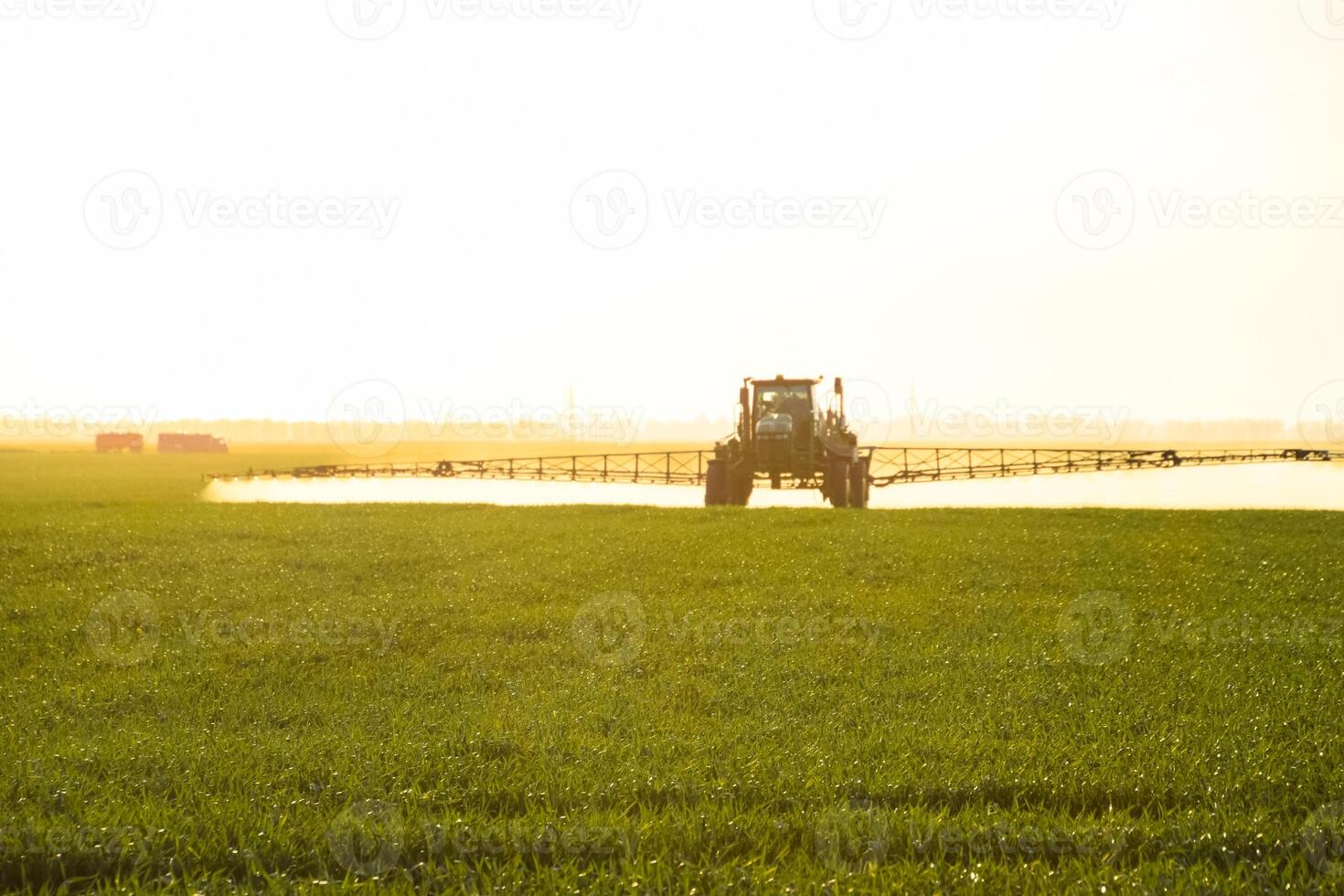 tracteur avec le Aidez-moi de une pulvérisateur Vaporisateurs liquide les engrais sur Jeune blé dans le champ. photo