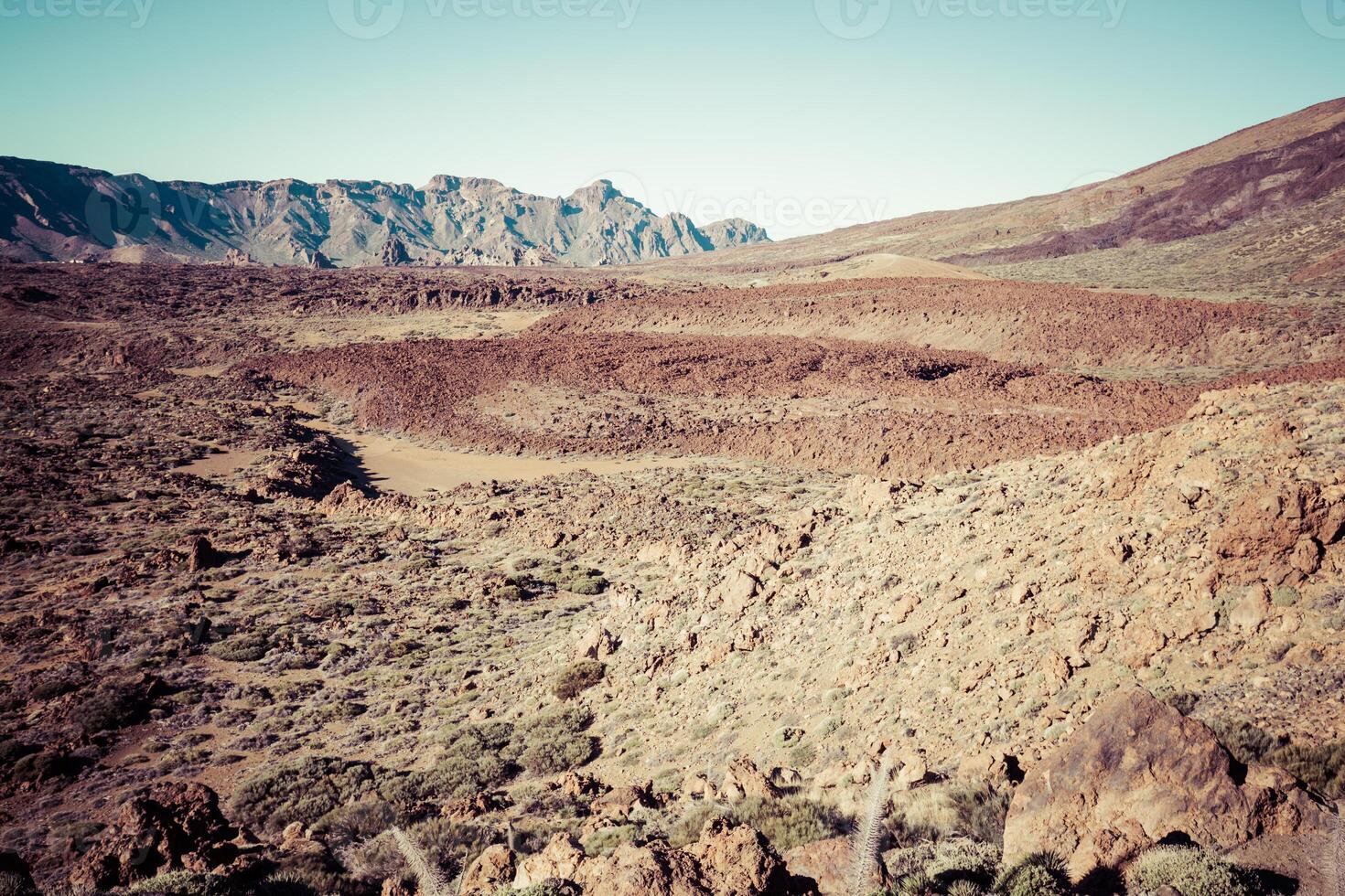 paysage dans teide nationale parc, canari île Ténérife, Espagne photo