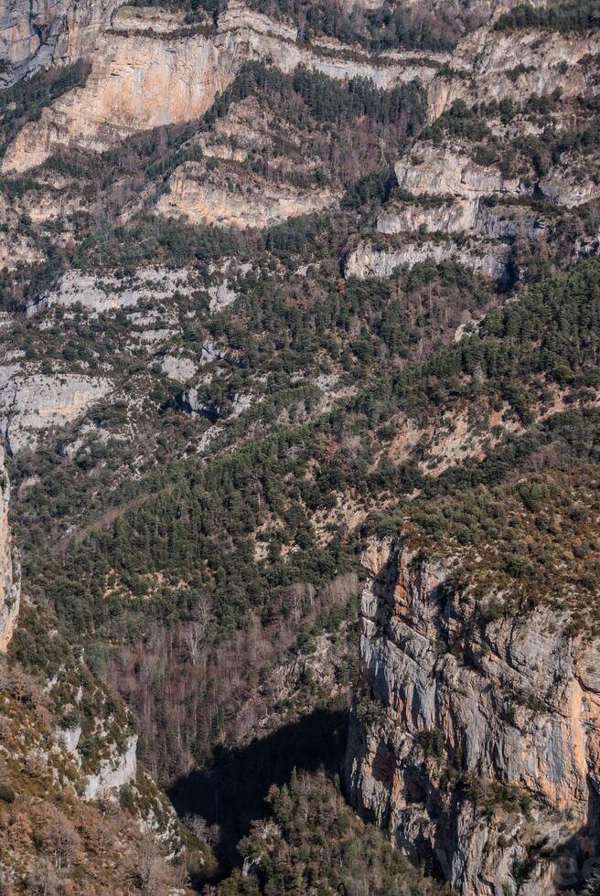 Pinacles dans la vallée de l'Anisclo, parc national d'Ordesa, Pyrénées, Huesca, Aragon, Espagne photo