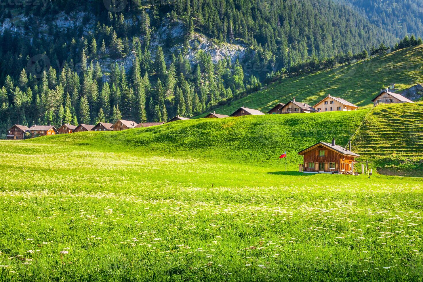 Maisons en bois à Steg, Malbun, au Lichtenstein, Europe photo