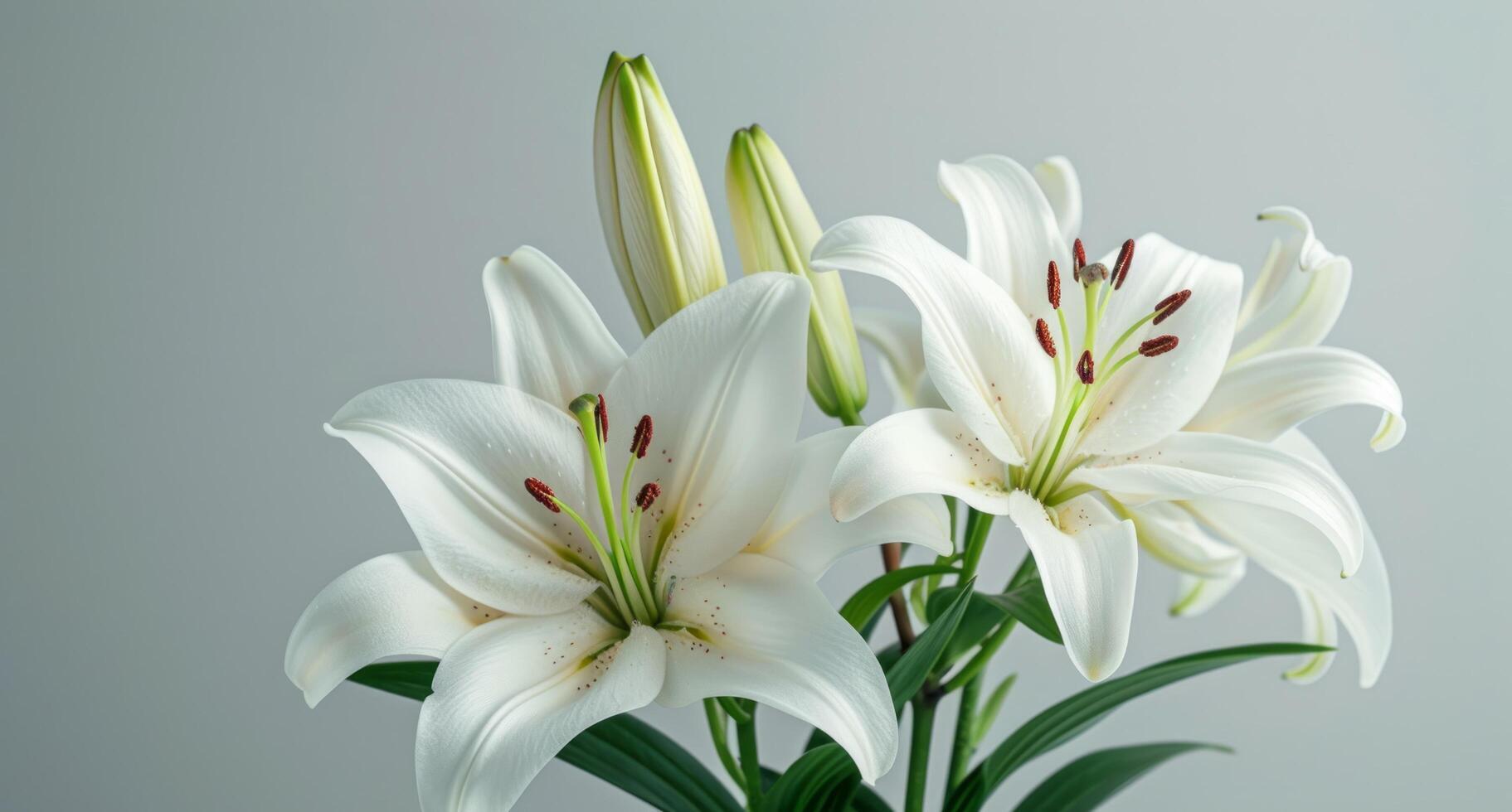 ai généré blanc fleurs de lys sont sur blanc contre une blanc Contexte photo